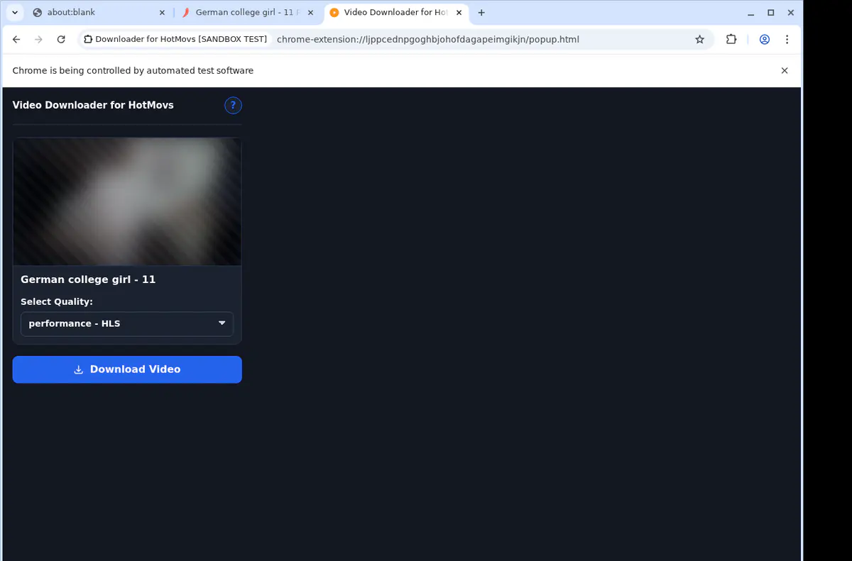 HotMovs Video Downloader browser extension screenshot 3